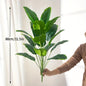 31.5-Inch Vibrant Tropical Banana Plant